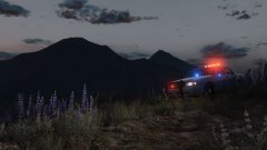 Marked Crown Victoria Code 3