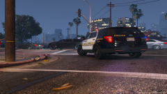 GTA5 2016-11-17 20-55-17-60.png