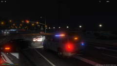 love the cruise lights