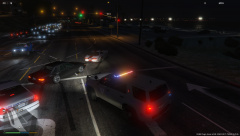 love the cruise lights 2