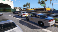 Traffic Stop Backup