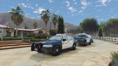 domestic disturbance at madrazo's