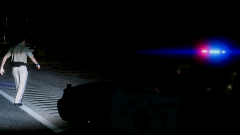 Never fear, CHP is here!