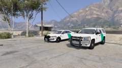 boarder patrol units
