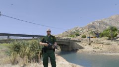 protecting the homeland