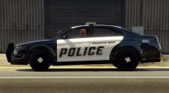 Default (Paleto Style)