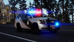 State Trooper in a hurry