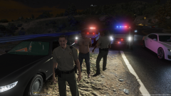 Code 4 Suspect in Custody