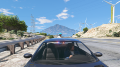 CHP Motor Unit "Chips"