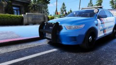 Blaine County Sheriff Skin Pack #2