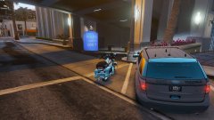 POLICE VEHICLES ONLY