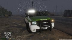 Gruppe 6, leading the way....