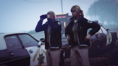 Foggy in the highway