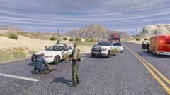 deputy down