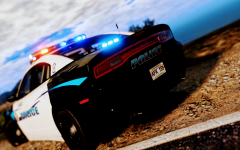 Los Maui 2014 Charger