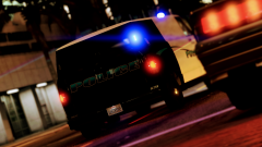 Los Maui Police Pony Transport