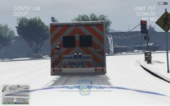 Peel Regional Police and Paramedic Services