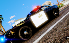 OPP 2014 Charger