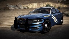 2015 Dodge Charger With Rambar