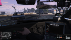 Me, Crown Vic, Dell, The City