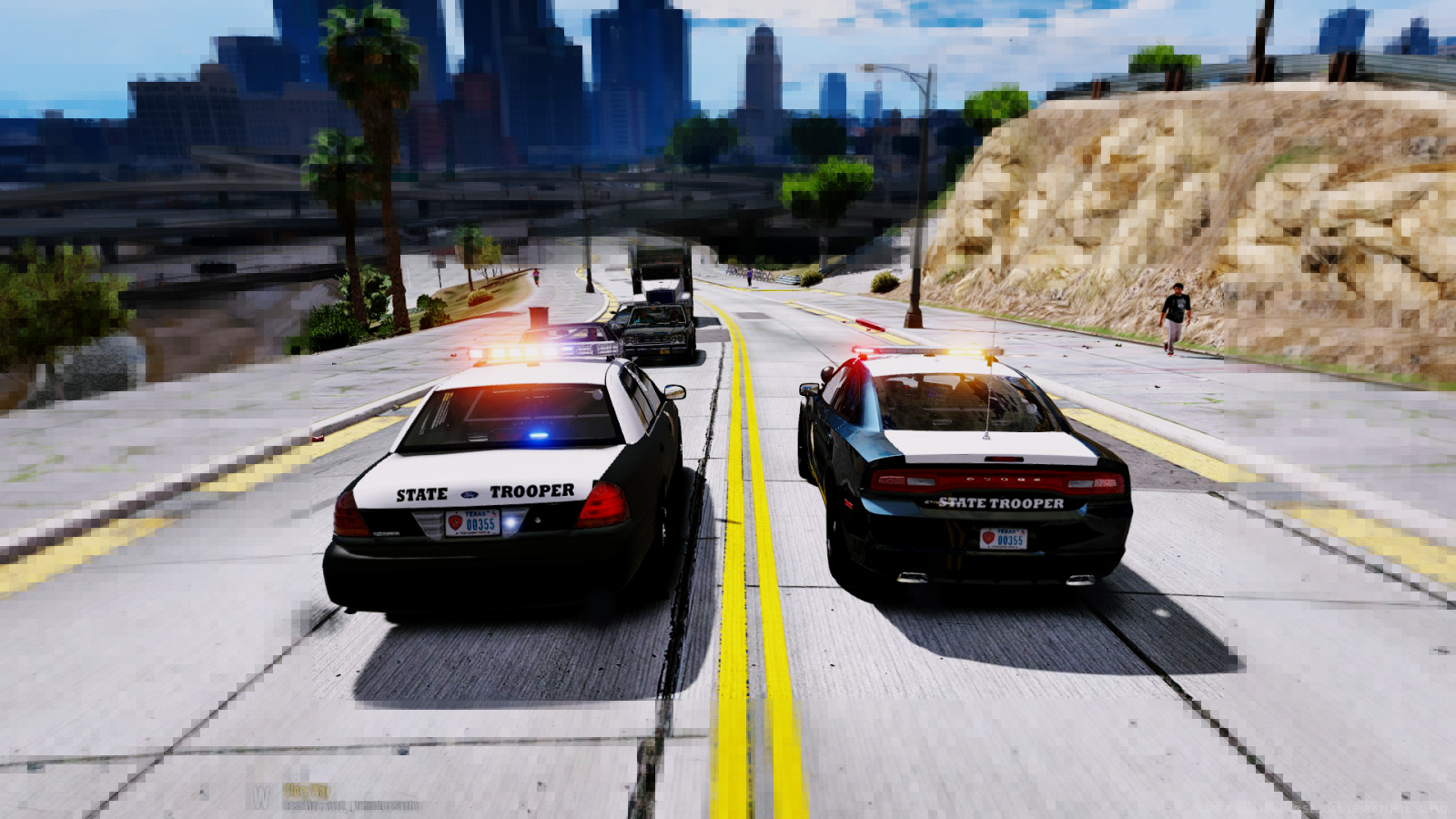 -TEXAS SKINS BY OFFICERFABE-