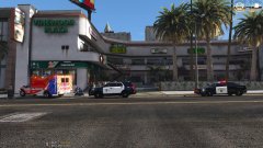 On Scene with LAPD, Hit and Run