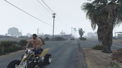 Everyone wants to be the next shirtless guy on Cops