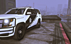 SAHP- Union Depository Side Job