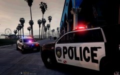 Fight on Vespucci Beach