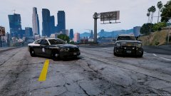 -- 2014 Dodge Charger and Chevy Tahoe -- FLORIDA STATE TROOPER