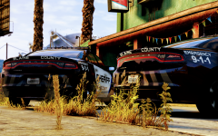 Tri - County Sheriff 2016 Charger