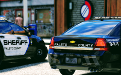 Two Tri - County Sheriff Caprices on Scene