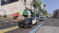 lssd valor