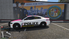 '15 Charger Driver Side