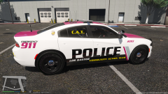 '15 Charger Passenger Side