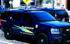 Just Checking in with Los Santos PD