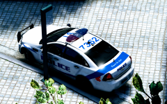 Just a Nice Day to be in the Sun