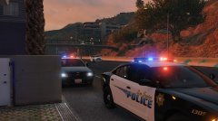 LSPD on Scene of Violet Disturbance (3).jpg