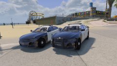lspd's new chargers
