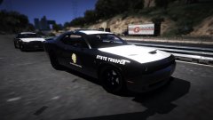 damn that potato cat