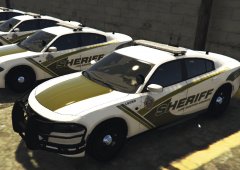 2015 Dodge Charger - LSCSO