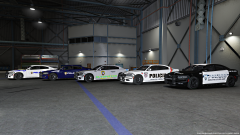 Puerto Rico police chargers