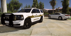 LSCSO UNITS