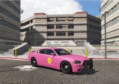 Breast Cancer Awareness Pink