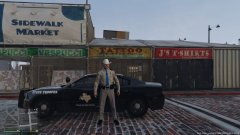 Texas State Trooper