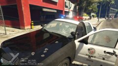 Officers Ambushed