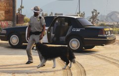 K-9 Unit