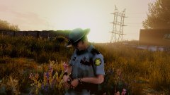 Kentucky Fried Greese