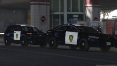BART-based tranit police skin pack