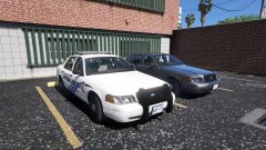 Patrol and Detective squad ready for action.